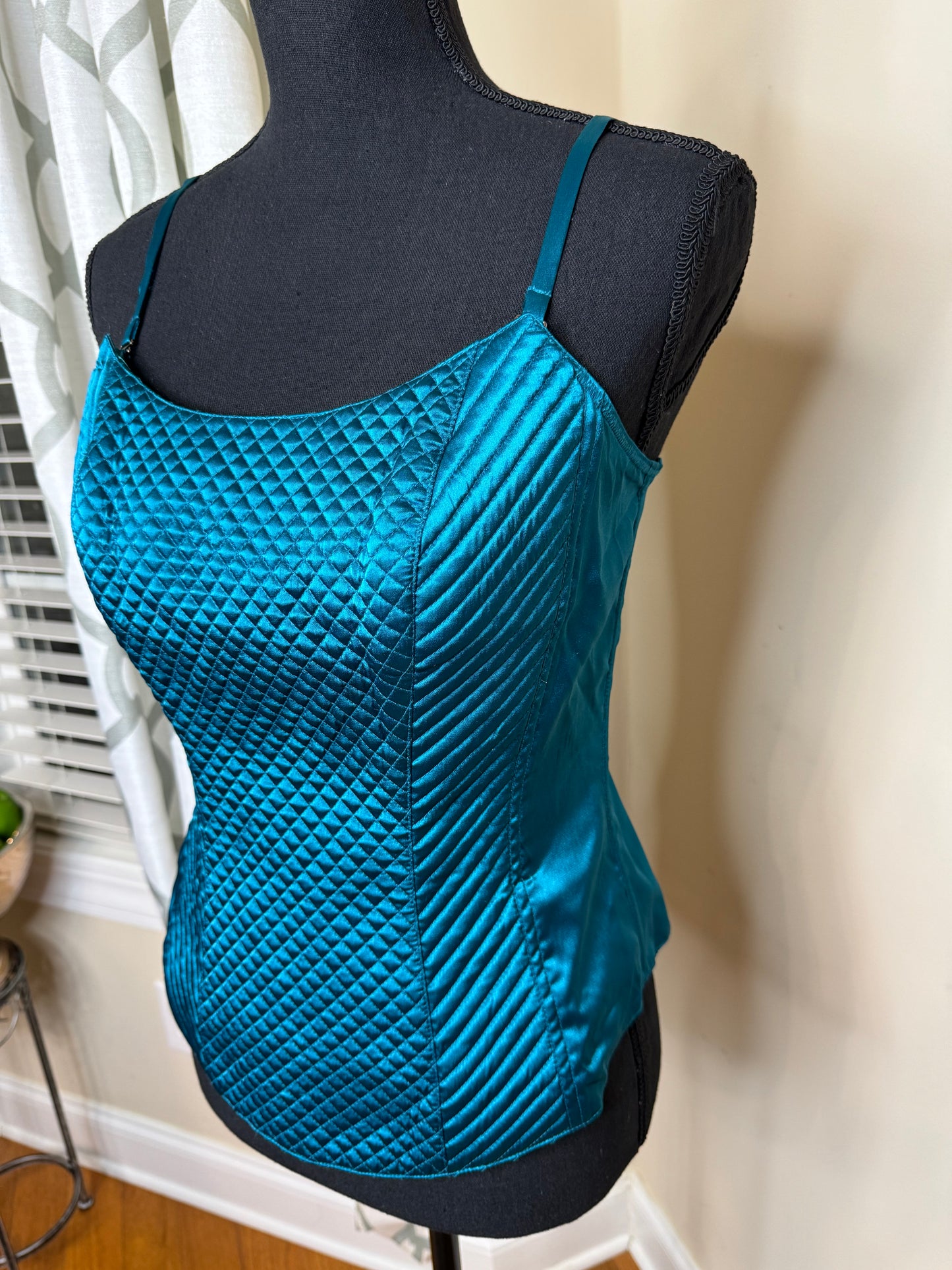 Susan Lucci Teal Corset (NWT)