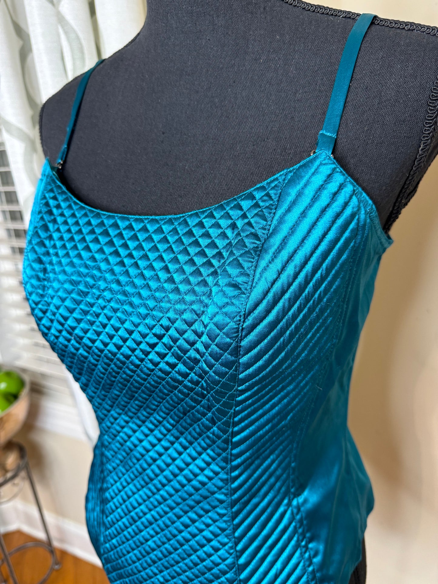 Susan Lucci Teal Corset (NWT)